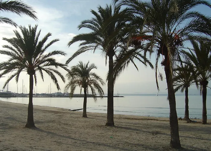 Hotel Bluesea Mediodia El Arenal (Mallorca)