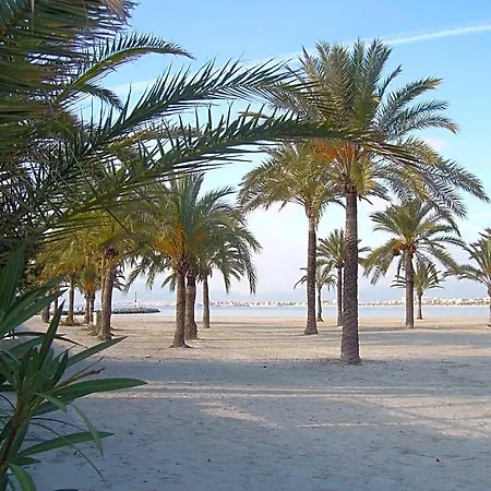Hotel Bluesea Mediodia 3*